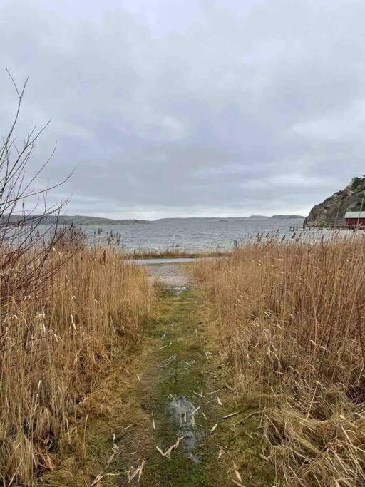Ny Laegenhet Pa Markplan Med Havsutsikt Stromstad Luaran gambar